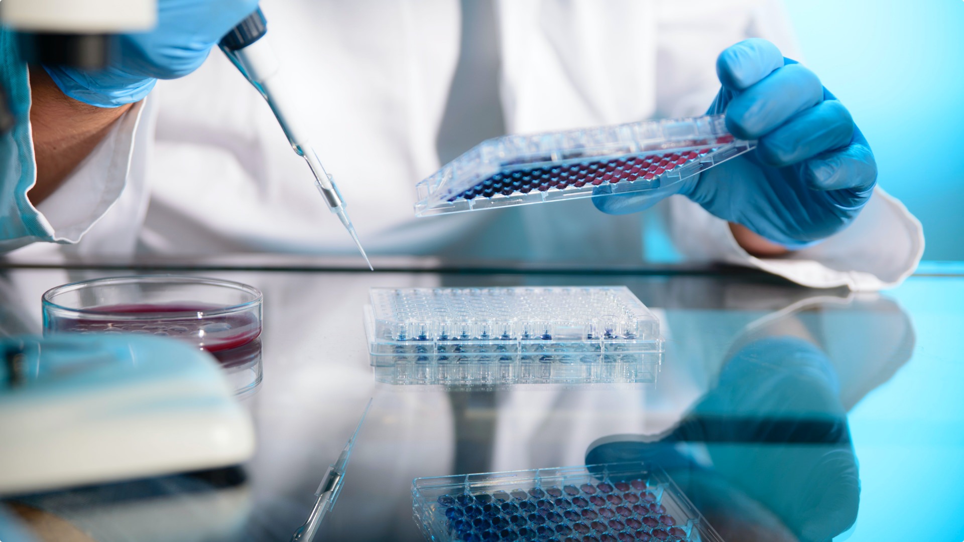 The importance of diluents in microbiological analysis of foods