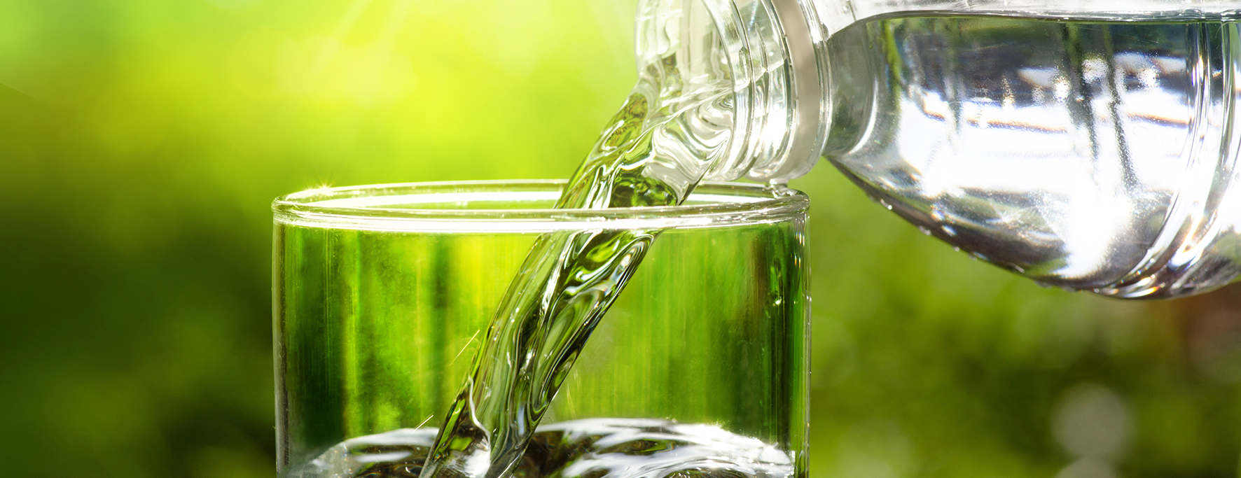 Analyzing Escherichia coli and coliforms in drinking water is crucial to guarantee its safety Analyzing Escherichia coli and coliforms in drinking water is crucial to guarantee its safety