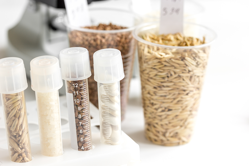 The importance of diluents in microbiological analysis of foods