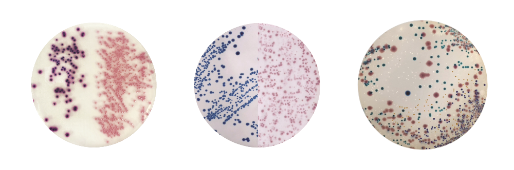 chromogenic